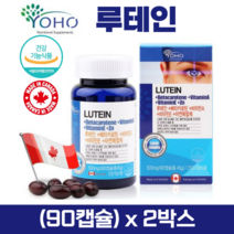 루테인 눈영양제 베타카로틴 비타민A 비타민E 아연 캐나다직수입 식약처인정 건강기능식품, 2박스, lutein 90캡슐