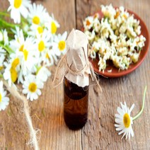 에센셜오일 카모마일로먼 Chamomile Romano E.O, [ 500ml ]