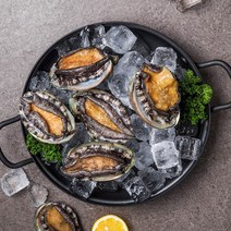 [산지직송] 진도 전복 꼬마전복 1kg (30-40미), 없음, 상세설명 참조