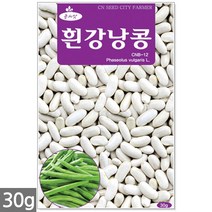 다다기오이 씨앗 15립 - 오이씨 오이씨앗 다다기오이씨앗 오이 씨 다다기오이씨 반백계 주말농장 텃밭, 22_흰강낭콩(30g)
