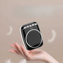 가이드용 마이크 기가폰 교사용 강의 레크레이션 수업, 유선 버전 클래식 블랙 + 칼라 마이크