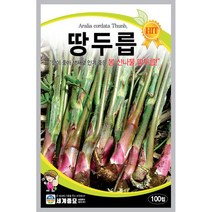 땅두릅 씨앗 100립 생채로 많이 먹는 봄 산나물 세계종묘