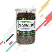 굿소일 정든팜 오갈피나무 두충 포함 보스웰리아환 400g 1개 (7704400), 보스웰릭산을 더 건강하게 먹는 방법