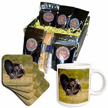 3dRose Wild Turkey Meleagris gallopavo male strutting - Coffee Gift Baskets (cgb_260142_1), 1