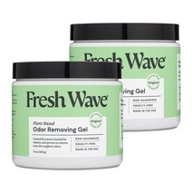 Fresh Wave 프레쉬웨이브 냄새 제거 오도르 리무빙 젤 오리지널 425g 2팩 Odor Removing Gel