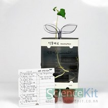 1+1 (SC) 식물미로(1인용)(투명화분), 1+1)2개