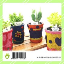 콜크다육화분 만들기 대 4인세트 3월 재판매 예정