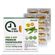 네추럴라이즈 원어데이 프리미엄 인지질레시틴 90캡슐, 선택완료, 단품없음