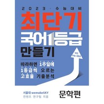 최단기 국어 1등급 만들기 문학편 (2023년용) : 2023 수능대비 따라하면 1주일에 1등급씩 오르는 고효율 기출분석, 수능의기술
