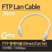 FTP 랜케이블 다이렉트 Cat 5e 30cm 100Mbps 랜선 인터넷 공유기 허브 랜카드 노트북 데스크탑 연결 C3889