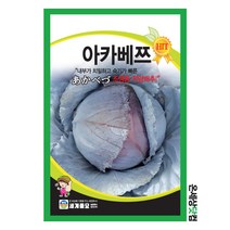 아카베쯔 300립 / 적양배추 씨앗 종자 텃밭 김장 채소 무침 샐러드, 1개
