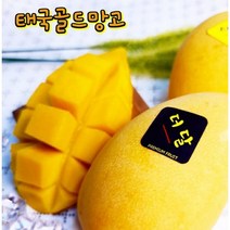 더달 항공직송 태국골드망고 10과 5kg 내외, 1박스