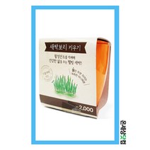새싹보리키우기 / 식물재배세트 미니화분 새싹 새싹보리키우기세트