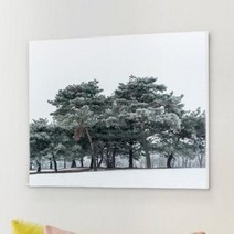 캔버스액자53x45.5 겨울소나무.꾸밈