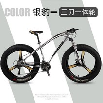 펫자전거 바퀴큰 성인 mtb 팻 바이크, 7단, 26인치, 11. 실버5