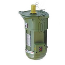 3상유도전동기 단상모터 0.2kW AC 220V 380V 3 상 중형 기어드 모터 저속 대형 토크 수직 설치 산업용 교반, 01 500rpm