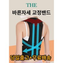 (특가할인) THE 바른 자세교정밴드 굽은등 교정기 등 라운드숄더 (S~L) 남녀공용