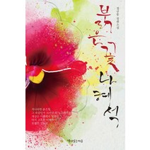 붉은 꽃 나혜석:정규웅 장편소설, 책이있는마을, 정규웅 저