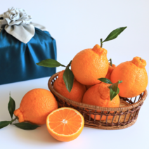 산지직송 제주 한라봉 명품 선물용 프리미엄 설, 로얄과 5kg, 1개