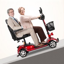 노인 전동 스쿠터 어르신 전동차 세발 삼발이 오토바이 삼륜차 전기 3발 바이크 12, 24V, 14.42S높은구성-2인승(12A납산40마일의