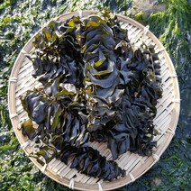 완도총각네 바삭하고 짜지않은 완도 미역귀 일본수출용 미역 귀다리 2023년 햇 상품, 250g x 2개