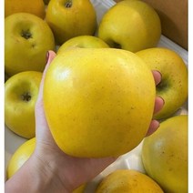 시나노 골드 스위트 사과 황금사과 노란사과 3kg 5kg 10kg 2kg, 2kg (가정용 g.소과 11-14과 내외)