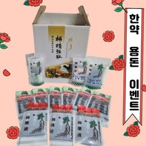 한약 용돈박스 파우치 세트 한약 파우치 재미있는선물 한약박스선물 한약파우치선물 돈 선물, 한약용돈박스3종세트