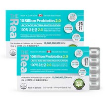 더 리얼 100억 유산균 프로바이오틱스 2.0 500mg 60캡슐 2박스 (4개월분) 장용성캡슐, 단품, 단품