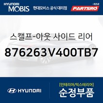 그랜저HG/하이브리드/아슬란 순정 사이드미러 커버(백미러 스캘프) 우측(팬텀블랙) (876263V400TB7)