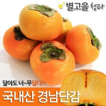 풍원영농조합법인 달콤한 경남 햇 단감 가정용흠과, 경남단감 흠과 사이즈 랜덤 10kg, 1박스