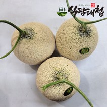 식탐대첩 머스크 메론 특대 1통 (1통당 2kg 내외), 단품