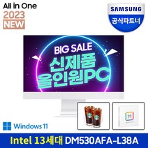삼성전자 올인원 PC DM530ADA-L38AW (11세대 인텔 i3-1115G4 60.5cm), WIN10, RAM 8GB + 8GB, NVMe 512GB