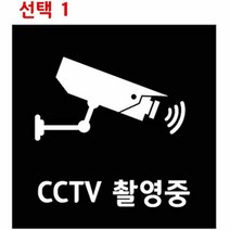 CCTV 촬영중 녹화중 감시중 메탈 안내판 레이져 각인 표지판, 선택1