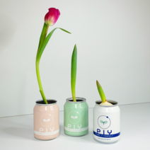 물만주세요 식물키트 튤립키우기 새싹채소키우기 파이캔, 핑크(튤립핑트임프레션)