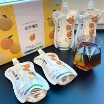 나주 순수배즙 2박스(120ml x 30포 x 2) 선물세트 나주 배를 통째로 착즙, 60포, 120ml