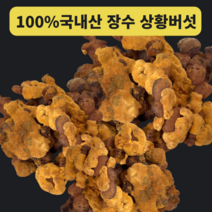 상황버섯 차 진액 국내산 100% 프리미엄 장수상황버섯 절편 당뇨에좋은, 2개 x 250g