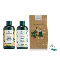 더바디샵 진저 헤어 250ML 2종 선물세트 (샴푸+컨디셔너) [신세계의정부점]