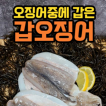 국산 서해 급냉 갑오징어 세트 아이스박스 포장 손질전 무게 2kg, 국산 서해 급냉 갑오징어 2kg (손질전 무게)