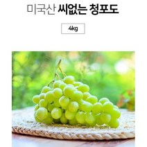 명절 친척 선물 씨없는 청포도 4kg 차례상과일 선물용, 상세페이지 참조
