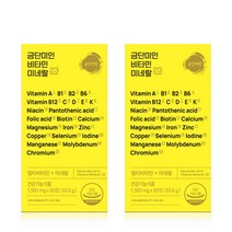 금단미인 비타민미네랄23 2박스 (120정) 영양제 종합비타민 무기질, 60정, 2개
