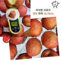 충주 고당도 부사 10kg 가정용 맛있는 사과, 10kg 30~37내과