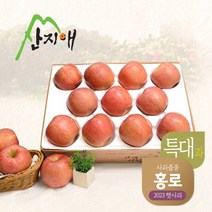 산지애) 알뜰햇사과(특대과) 4kg, 단품