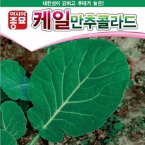 아시아종묘 케일종자씨앗 만추콜라드(100g)