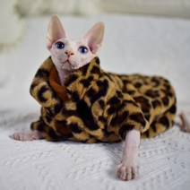 duomasumi sphynx 고양이 더블 패딩 레오파드 따뜻한 재킷 털이없는 고양이 옷 콘월어 데본 렉스 peterbald knnis abbey cat, 코트, XL