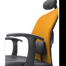 PCH021 목디스크/척추측만증 예방 바른자세 유지 의자, 블랙레자