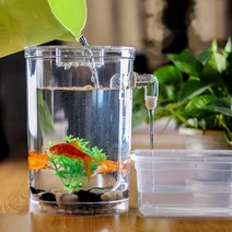 모나코올리브 자동청소어항 구피 열대어 어항 풀세트, 1