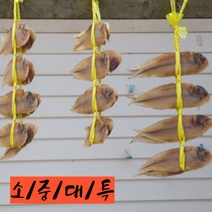 그린코리아 반건조 생선 구이 찜 박대 4종, 29cm내외 10미 (소)