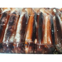 오징어엄마 국내산 마른 오징어 건오징어 건조오징어, 대 10마리(750g)