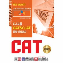 CAT CJAT CJ그룹 종합적성검사 2019, 상품명