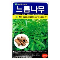 느릅나무씨앗 300알 유근피나무 씨앗
